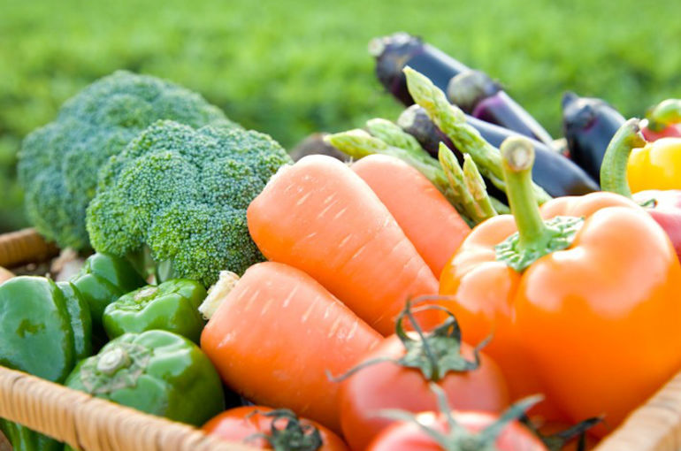 最新メニュー情報